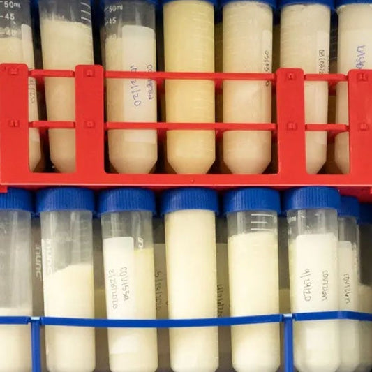 Breastmilk and COVID: What Can We Learn?
